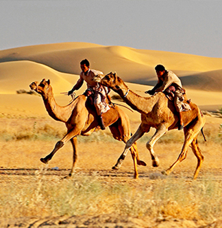 Travel